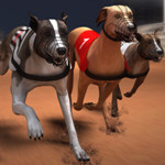 Greyhound Racing